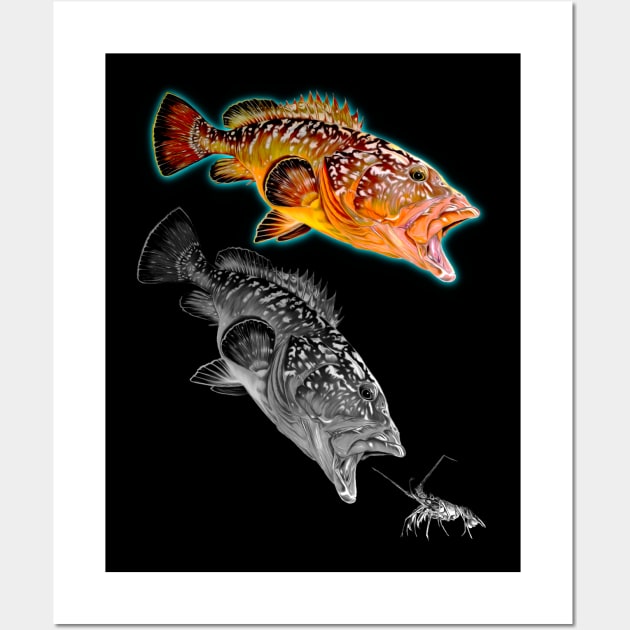 Rockcod Wall Art by Art by Paul